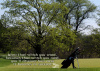 5x7 Print - Golf Bag